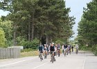 IMG 4108