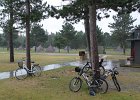 IMG 4133