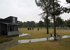 IMG 4136
