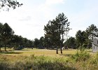IMG 4214