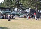 IMG 4217