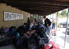 IMG 4421
